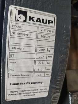 Kaup 2,5T391